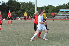 Enlarge photo 473