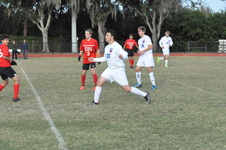 Enlarge photo 477