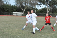 Enlarge photo 481