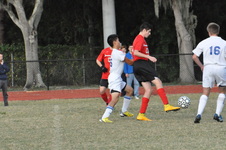 Enlarge photo 510