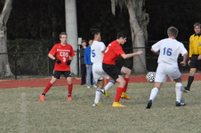 Enlarge photo 511
