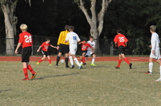 Enlarge photo 523