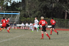 Enlarge photo 532