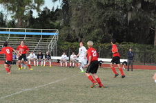 Enlarge photo 533