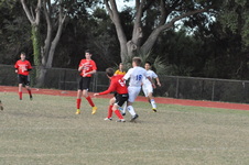 Enlarge photo 546
