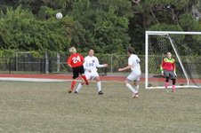 Enlarge photo 566