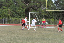 Enlarge photo 569