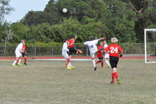 Enlarge photo 592