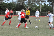 Enlarge photo 626