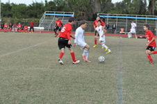 Enlarge photo 629