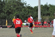Enlarge photo 639