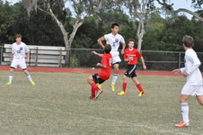 Enlarge photo 687