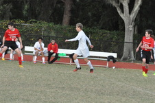 Enlarge photo 731