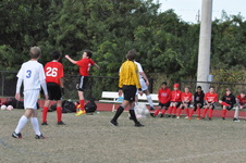 Enlarge photo 770