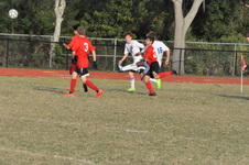 Enlarge photo 859