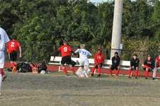 Enlarge photo 869