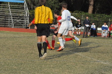 Enlarge photo 910
