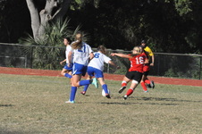 Enlarge photo 31