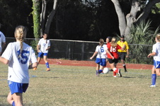 Enlarge photo 34