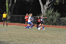 Enlarge photo 40