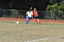 Enlarge photo 43