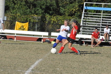 Enlarge photo 51