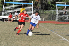 Enlarge photo 54
