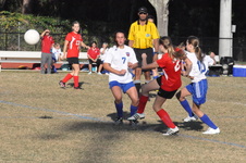 Enlarge photo 92