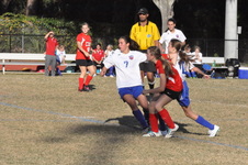 Enlarge photo 93