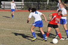 Enlarge photo 107