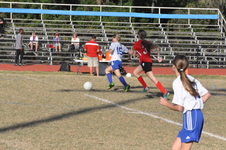 Enlarge photo 113