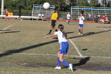 Enlarge photo 135