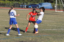 Enlarge photo 145