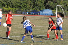 Enlarge photo 149