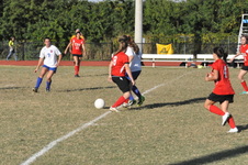 Enlarge photo 159