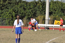 Enlarge photo 168