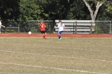 Enlarge photo 177