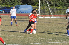 Enlarge photo 212
