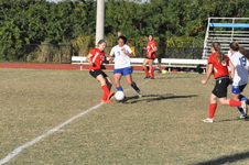 Enlarge photo 225