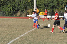 Enlarge photo 226