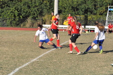 Enlarge photo 227