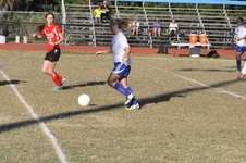 Enlarge photo 229
