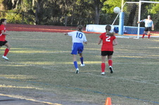 Enlarge photo 238