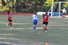 Enlarge photo 239