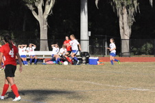 Enlarge photo 245
