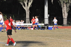 Enlarge photo 246