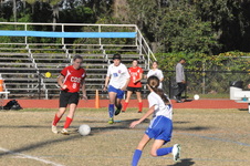 Enlarge photo 255