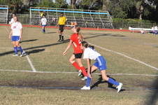 Enlarge photo 281