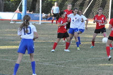 Enlarge photo 288