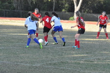 Enlarge photo 302